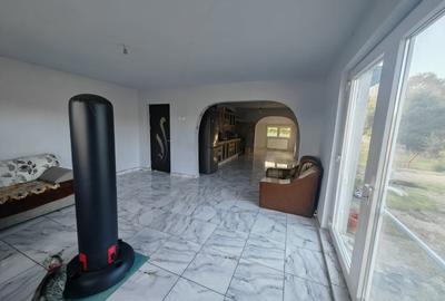 Constructie S+P+1E+M si teren 1000 mp, I.L. Caragiale, Dambovita - 15