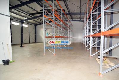 Hala 572 mp Chiajna - 5