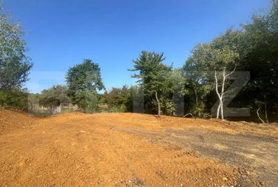 Teren de 570 mp, în Viișoara - 2