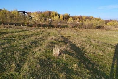 Teren Construcții intravilan de 2490 mp, în Voila - 1