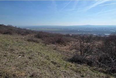 Teren Construcții intravilan de 6900 mp, în Dealuri Oradea - 2