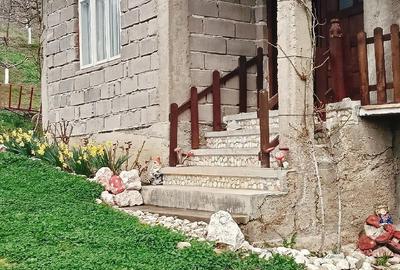 Casă cu Teren 2800 Mp în Boțești