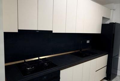 Apartament cu 2 camere semidecomandat în Vișan - 6