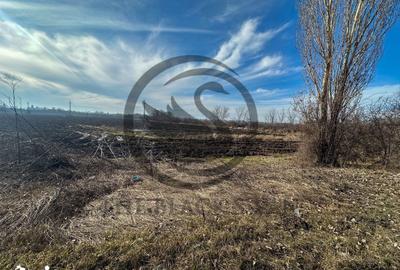 Teren de 10083 mp, în Gorgota - 8