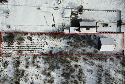 Casă cu teren | Bălăușeri - 5