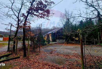 Teren de 924 mp, în Tăuții-Măgherăuș - 3