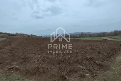 Teren de 9700 mp, în Pârău lui Mihai - 1