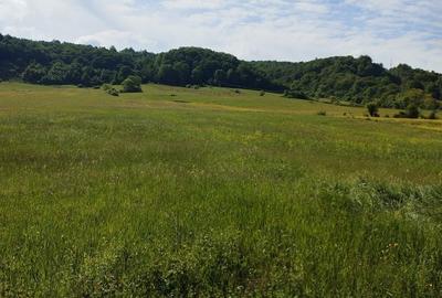 Teren de 16500 mp, în Tomești - 2