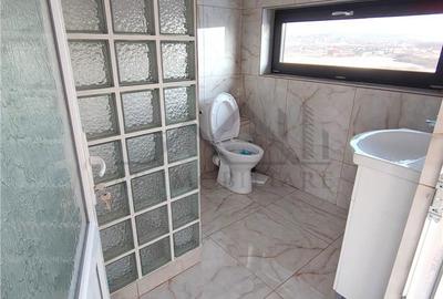 Spațiu comercial, de 240 mp, în Lunca Cetățuii - 1