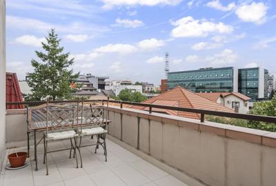 4 camere splendid 100 de pasi de  Parcul Herastrau si ambasada Chinei