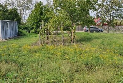 Spațiu comercial, în Cantemir - 5