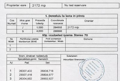 Spațiu comercial, în Brănești - 7