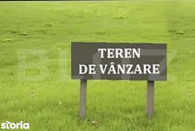Teren de 6000 mp, în Paltin