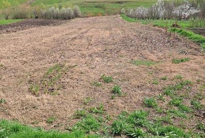 Casă cu 3 camere în Buza - 6