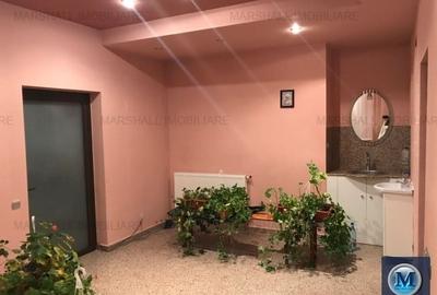 Vila cu 12 camere de vanzare, zona Buna Vestire, 600 mp #10411 - 16