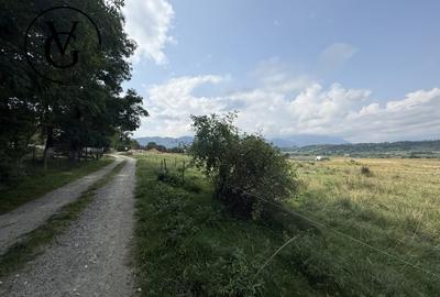 Teren intravilan 500 mp - Tohanul Nou - 6