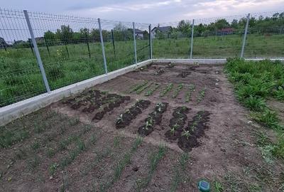Teren de vanzare Valea Ursului - 9