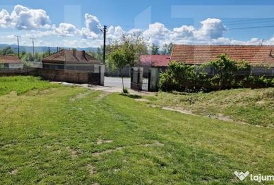 Casă cu 4 camere cu Teren 3166 Mp în Bejan - 16