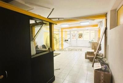 Vanzare - Vila Premium cu Potential de Business - Vidra - 36