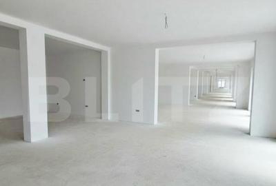 Spa?iu comercial de inchiriat in ?elimbar Doamna St - 1