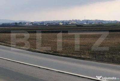 Teren de 30000 mp, în Central