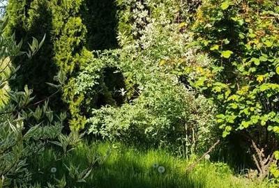 Casă cu 4 camere în Ariceștii Rahtivani - 7