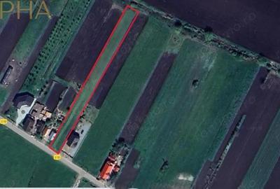 Teren intravilan de vanzare - Chintelnic, Jud. Bistrita-Nasaud - 2