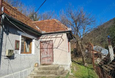 Casă cu 3 camere cu Teren 250 Mp în Central - 1
