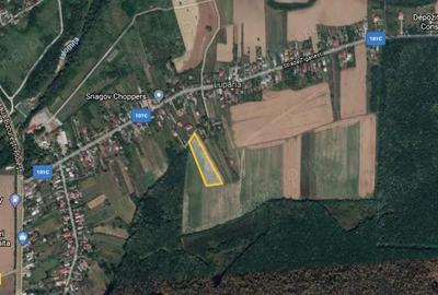 Teren de 7500 mp, în Ciolpani - 2