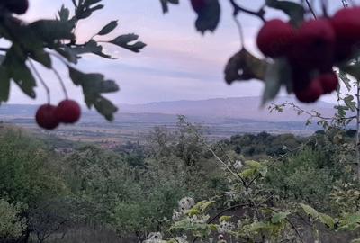 Teren de 410 mp, în Cerișor - 10