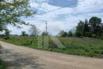 Intravilan Tiparesti, relaxare aproape de padure - 3