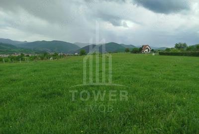 Teren de vinzare in Tropini Vechi - 8