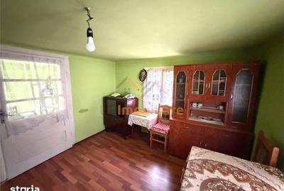 Casă cu 4 camere cu Teren 2846 Mp în Aștileu - 5