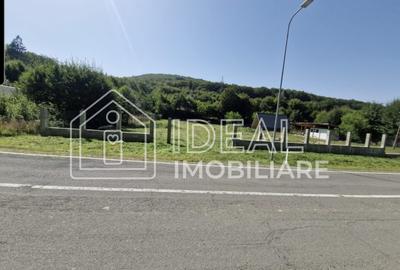 Teren agricol extravilan de 2300 mp, în Cârțișoara - 1