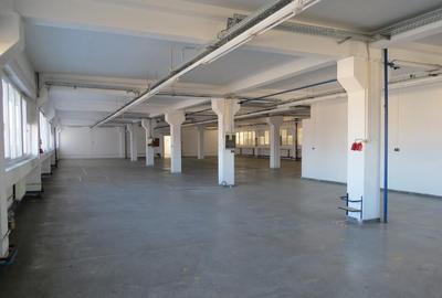 Cladire industriala in Curtea de Arges, 700000 EURO - 4