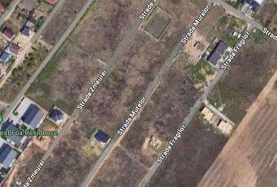 Teren Construcții intravilan de 510 mp, în Malu Mare - 3