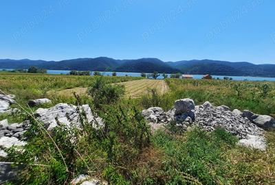 Teren de 2500 mp, în Berzasca - 19