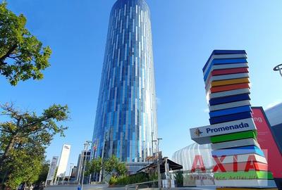 Sky Tower - Subinchiriere spatiu birou, suprafata 287 mp - 11