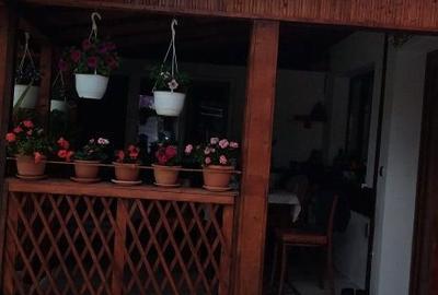 Casă cu 4 camere în Iancu Jianu - 2