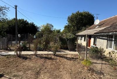 Teren Construcții intravilan de 6005 mp, în Șiriu - 2