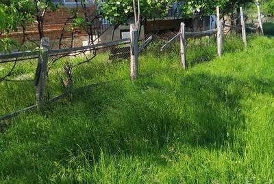Casă cu 2 camere cu Teren 70 Mp în Central - 3