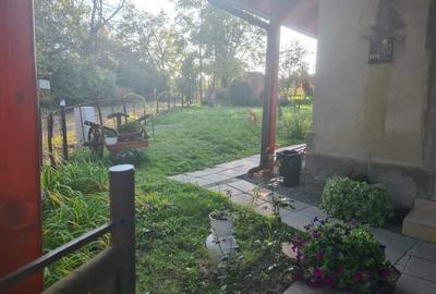 Casă cu 3 camere decomandat în Săbed - 4