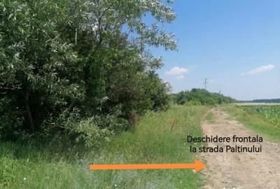 Teren de 500 mp, în Țintea - 5