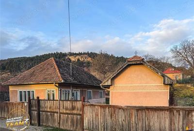 FILM! Gospodarie cu atmosfera traditionala,1.032 mp de verde si gradinarit, Sanzaieni, Covasna - 11
