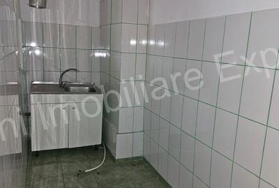 Casă cu 2 camere în Domnești - 11