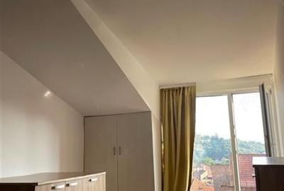 Studio deschis si la regim hotelier, priveliste frumoasa, pet friendly, loc parc - 8