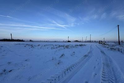 Teren de 18000 mp, în Becicherecu Mic - 3