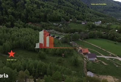 Teren de 5261 mp, în Tohănița - 6