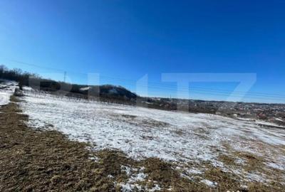 Teren de 9600 mp, în Rădășeni - 2