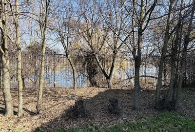 Casă individuală cu 7 camere cu Canalizare în Roșu - 10